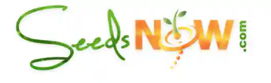 Seeds Now Coupon Codes 
