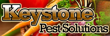 Keystone Pest Solutions Coupon Codes